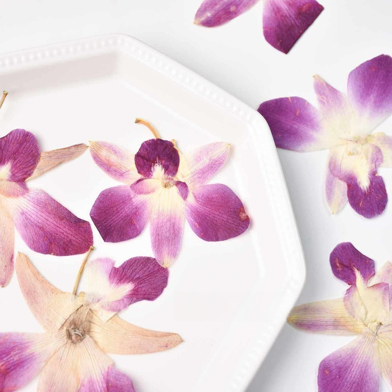4 stuks, echte geperste vlinde - Resin Craft Ideas recensie en prijs