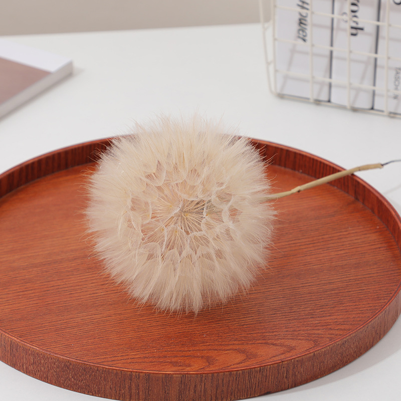 Gedroogde paardenbloem DIY epo - Crafting Resin recensie en prijs